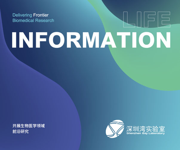 杭州VI設(shè)計(jì)公司的特色是什么？